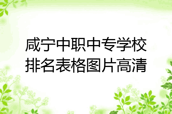 咸宁中职中专学校排名表格图片高清