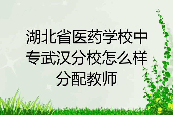 湖北省医药学校中专武汉分校怎么样分配教师