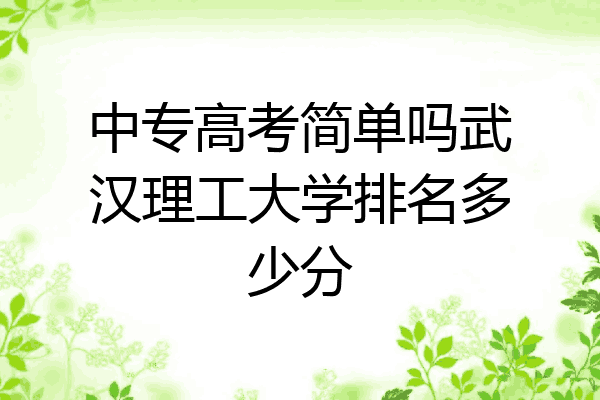 中专高考简单吗武汉理工大学排名多少分