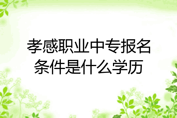 孝感职业中专报名条件是什么学历