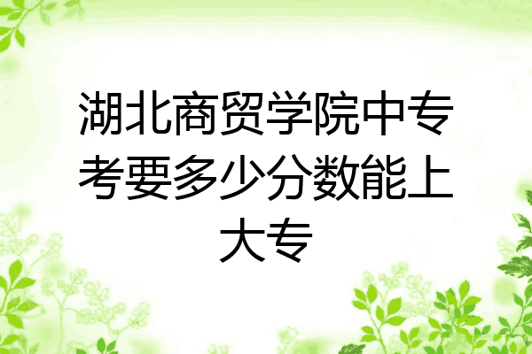 湖北商贸学院中专考要多少分数能上大专