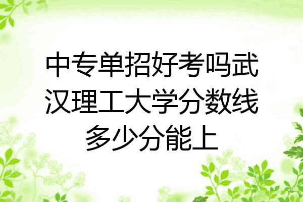 中专单招好考吗武汉理工大学分数线多少分能上