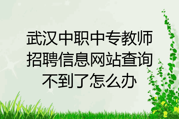 武汉中职中专教师招聘信息网站查询不到了怎么办