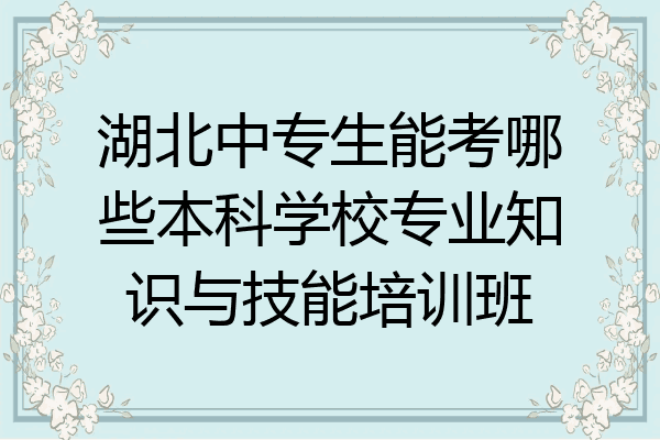 湖北中专生能考哪些本科学校专业知识与技能培训班