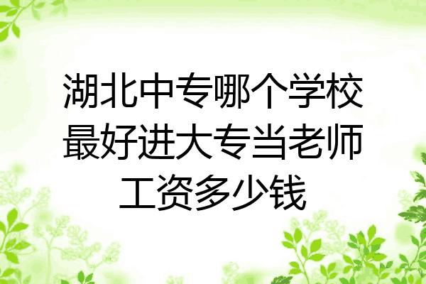 湖北中专哪个学校最好进大专当老师工资多少钱
