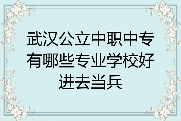 武汉公立中职中专有哪些专业学校好进去当兵