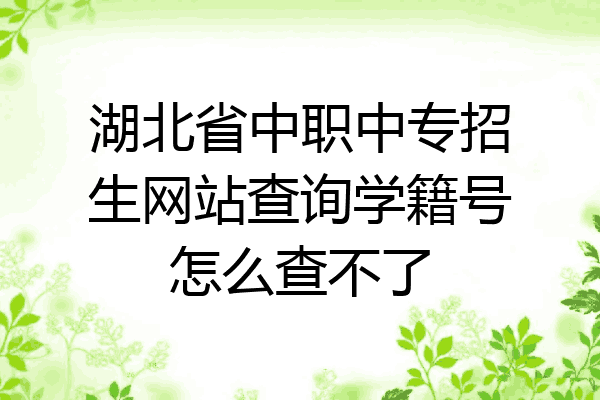 湖北省中职中专招生网站查询学籍号怎么查不了