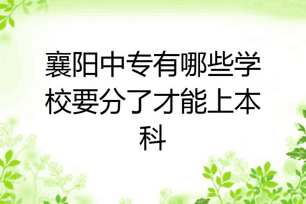 襄阳中专有哪些学校要分了才能上本科