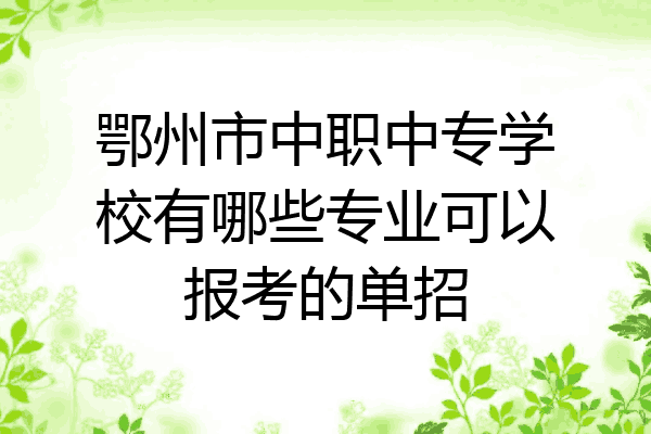鄂州市中职中专学校有哪些专业可以报考的单招
