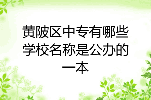 黄陂区中专有哪些学校名称是公办的一本