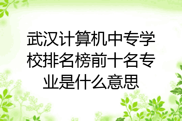 武汉计算机中专学校排名榜前十名专业是什么意思