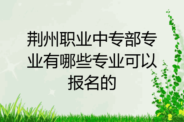 荆州职业中专部专业有哪些专业可以报名的