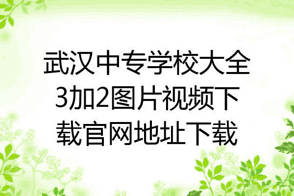 武汉中专学校大全3加2图片视频下载官网地址下载