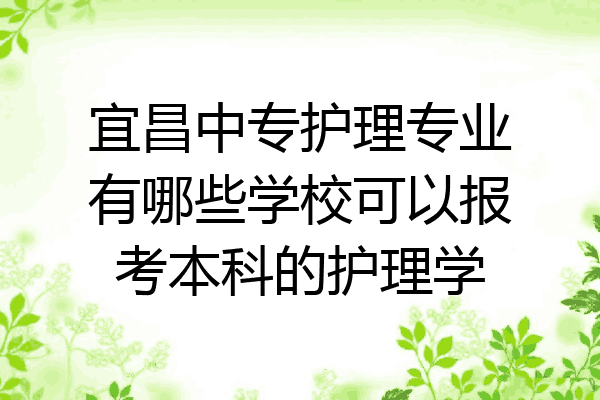 宜昌中专护理专业有哪些学校可以报考本科的护理学