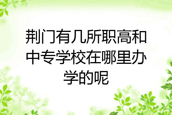 荆门有几所职高和中专学校在哪里办学的呢