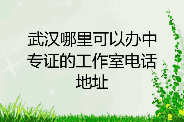 武汉哪里可以办中专证的工作室电话地址