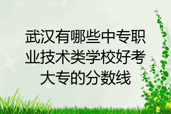 武汉有哪些中专职业技术类学校好考大专的分数线
