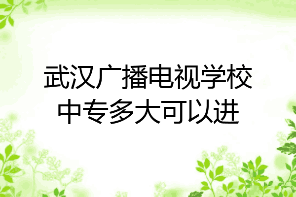 武汉广播电视学校中专多大可以进