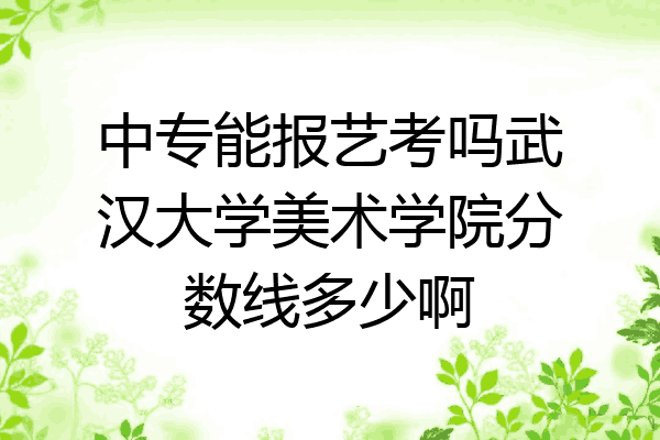 中专能报艺考吗武汉大学美术学院分数线多少啊
