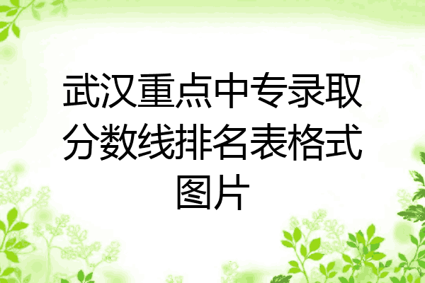 武汉重点中专录取分数线排名表格式图片