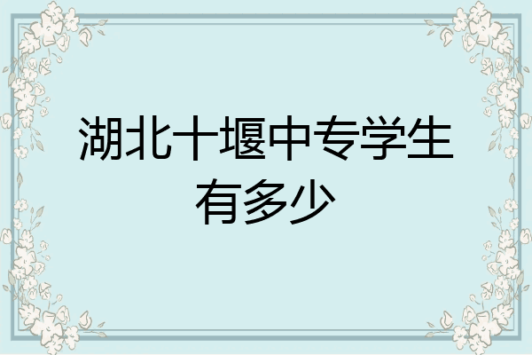 湖北十堰中专学生有多少