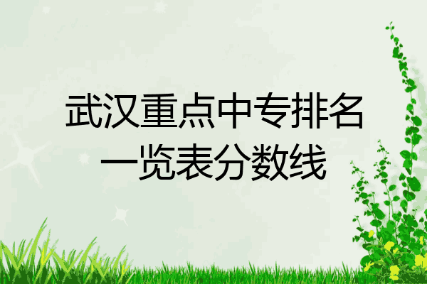 武汉重点中专排名一览表分数线