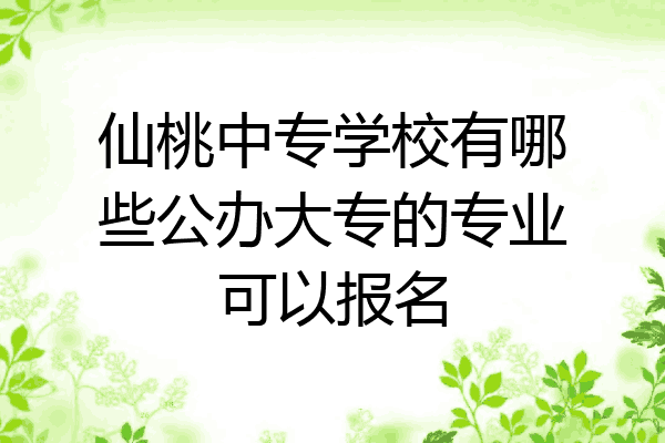仙桃中专学校有哪些公办大专的专业可以报名