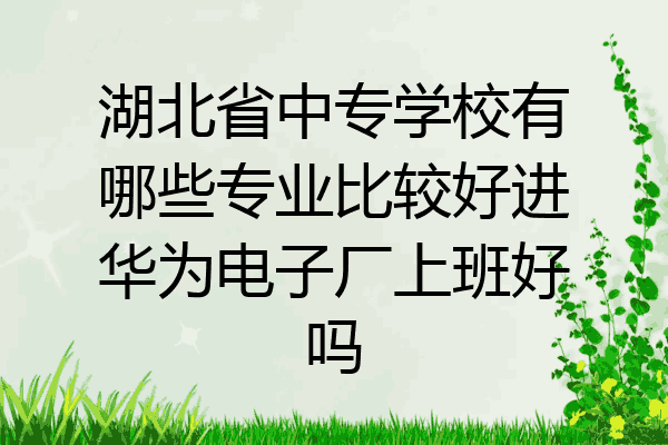 湖北省中专学校有哪些专业比较好进华为电子厂上班好吗