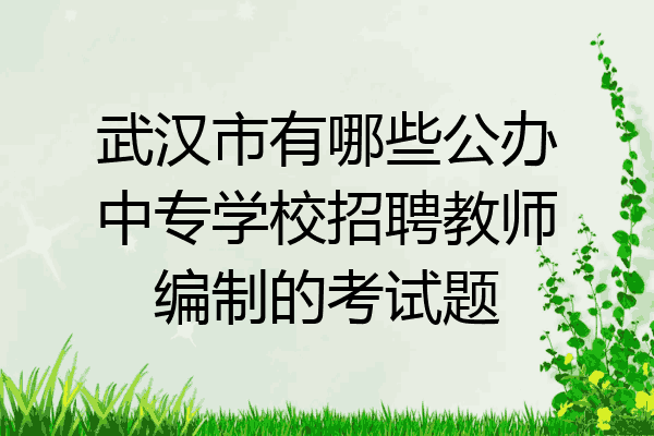 武汉市有哪些公办中专学校招聘教师编制的考试题