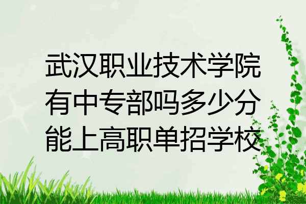 武汉职业技术学院有中专部吗多少分能上高职单招学校