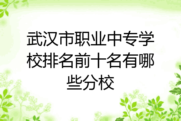 武汉市职业中专学校排名前十名有哪些分校