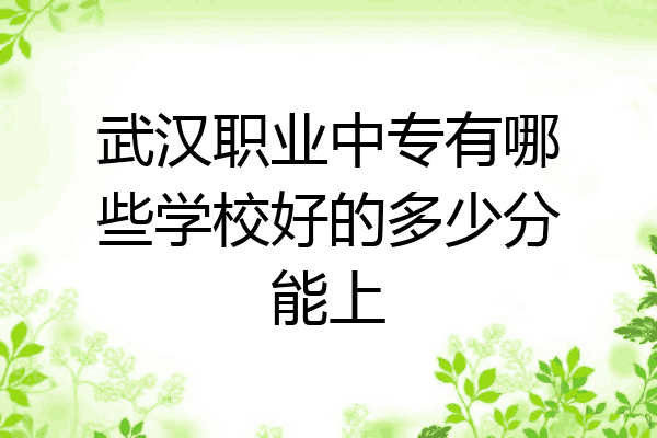 武汉职业中专有哪些学校好的多少分能上