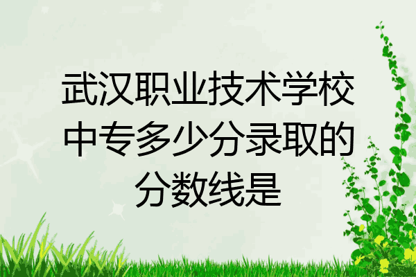 武汉职业技术学校中专多少分录取的分数线是