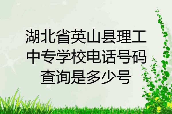 湖北省英山县理工中专学校电话号码查询是多少号