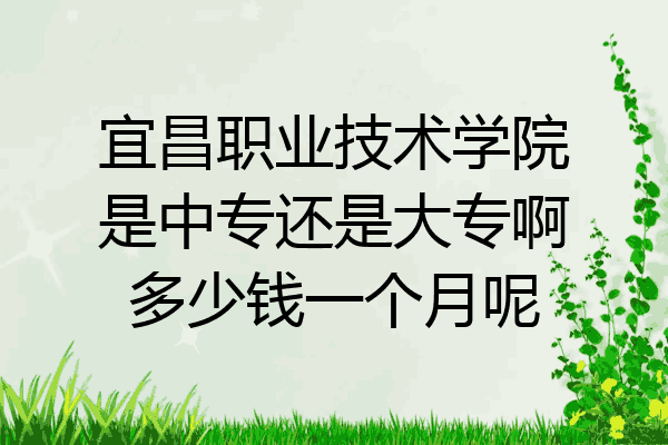 宜昌职业技术学院是中专还是大专啊多少钱一个月呢