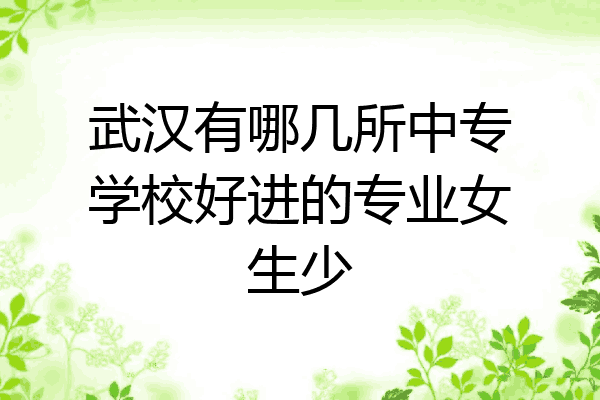 武汉有哪几所中专学校好进的专业女生少