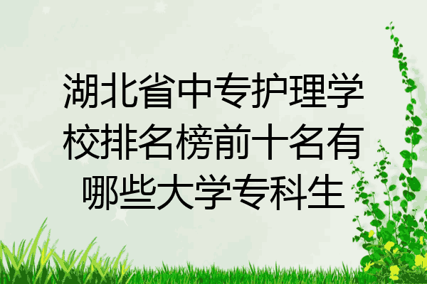 湖北省中专护理学校排名榜前十名有哪些大学专科生
