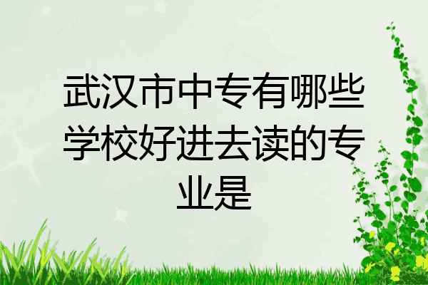 武汉市中专有哪些学校好进去读的专业是