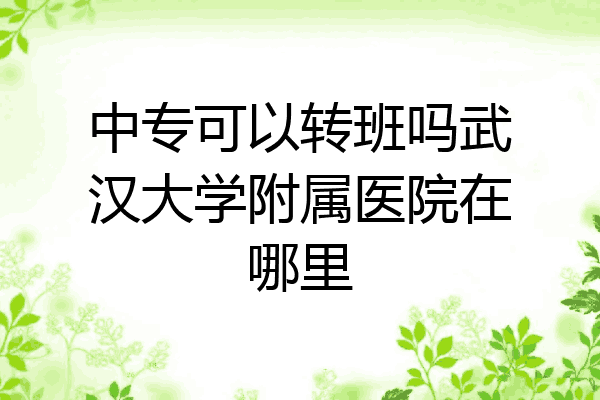 中专可以转班吗武汉大学附属医院在哪里