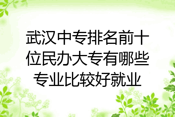 武汉中专排名前十位民办大专有哪些专业比较好就业