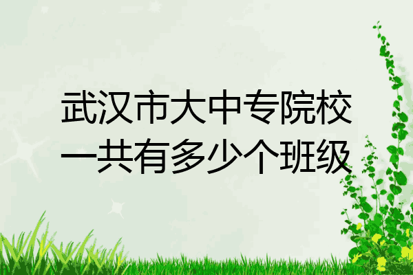 武汉市大中专院校一共有多少个班级