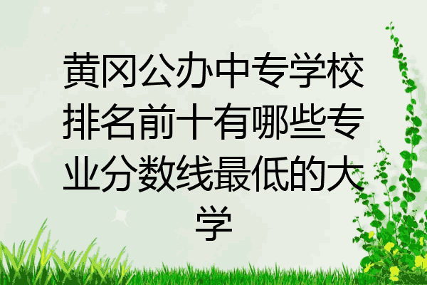 黄冈公办中专学校排名前十有哪些专业分数线最低的大学