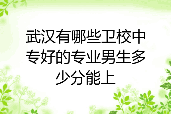 武汉有哪些卫校中专好的专业男生多少分能上