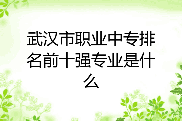 武汉市职业中专排名前十强专业是什么