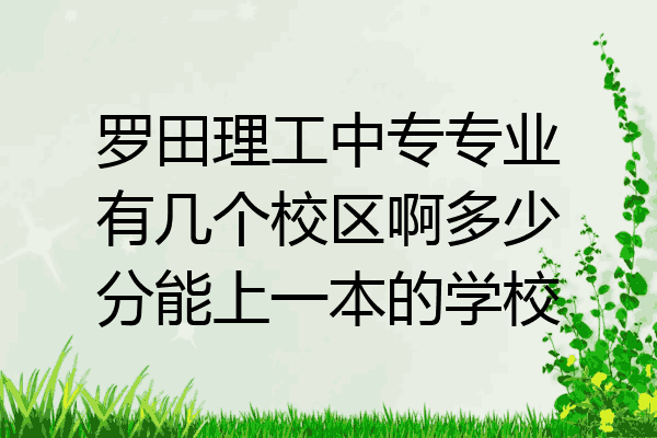 罗田理工中专专业有几个校区啊多少分能上一本的学校
