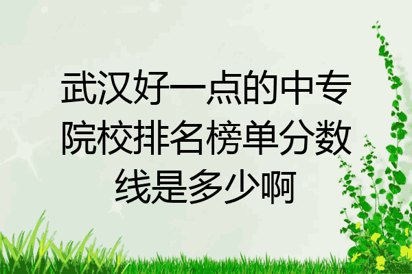 武汉好一点的中专院校排名榜单分数线是多少啊