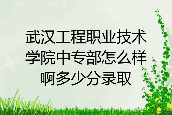 武汉工程职业技术学院中专部怎么样啊多少分录取