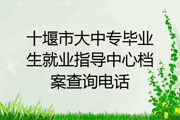 十堰市大中专毕业生就业指导中心档案查询电话