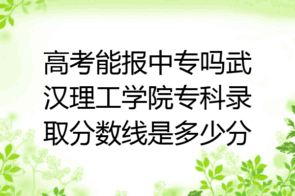 高考能报中专吗武汉理工学院专科录取分数线是多少分
