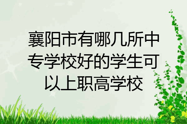 襄阳市有哪几所中专学校好的学生可以上职高学校